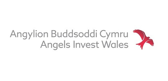Angels Invest logo